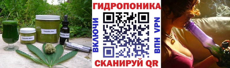 где можно купить   Агрыз  Cannafood конопля 