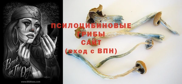 экстази Осташков